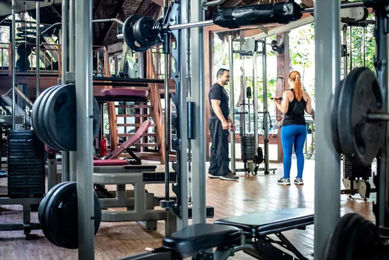 Sombra e Agua Fresca Floresta