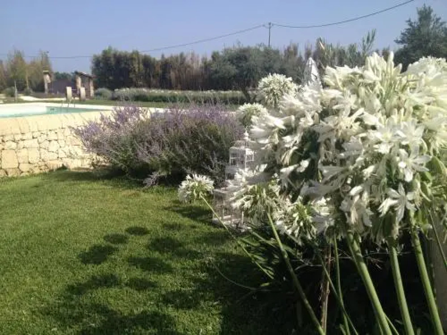 Mythos Holidays  Events