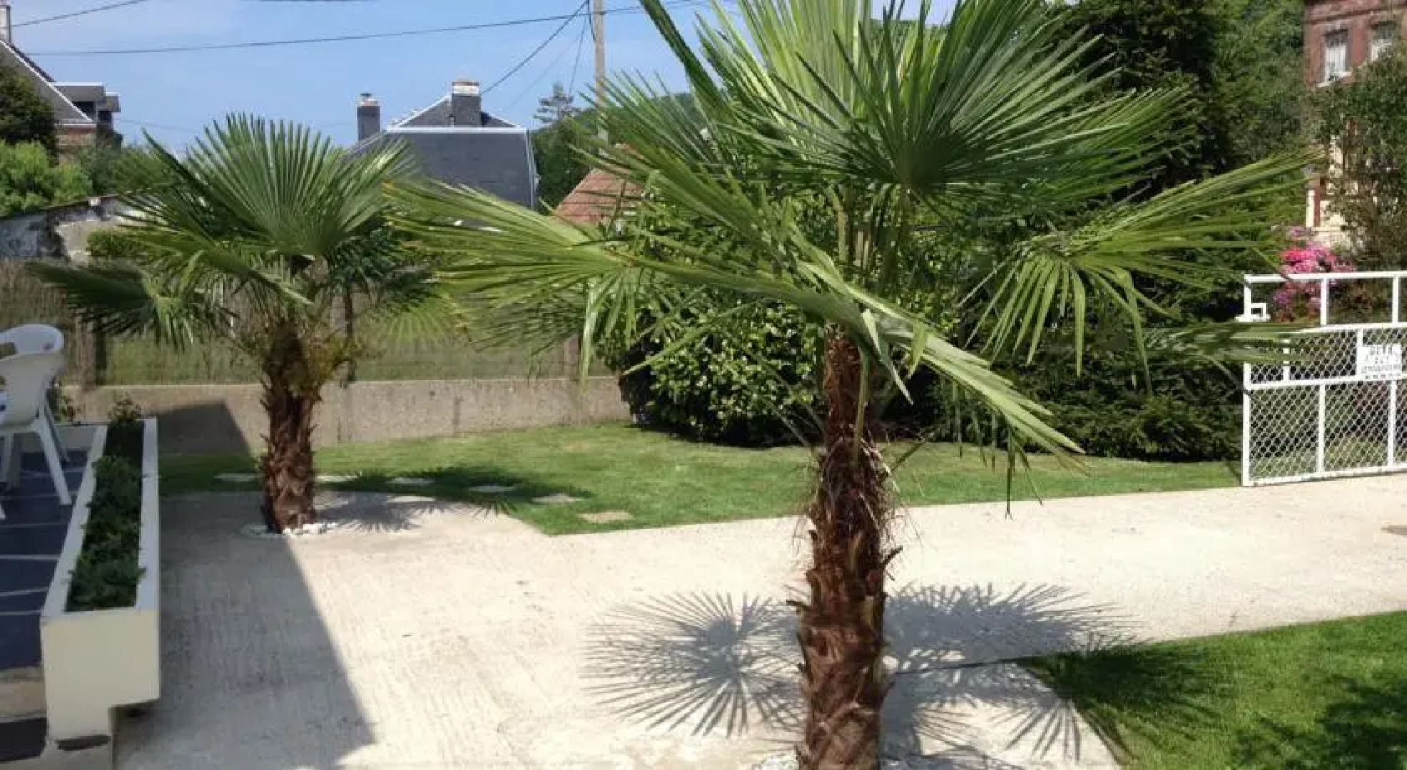 Gîte des 2 palmiers