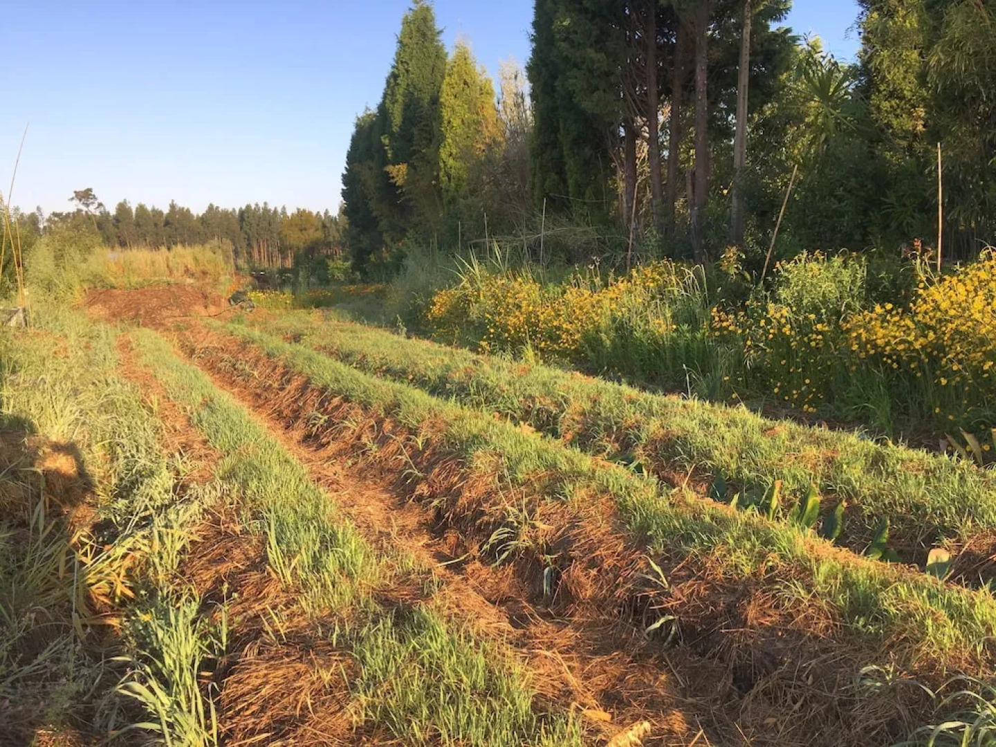 Casa das Três Aguias