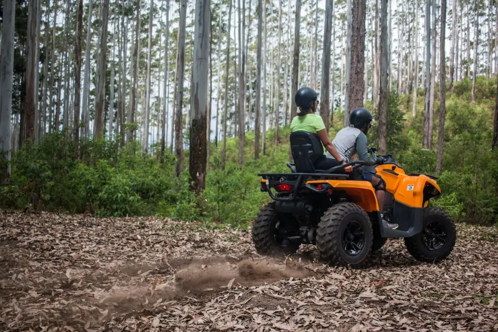 Anasa Wellness Resort