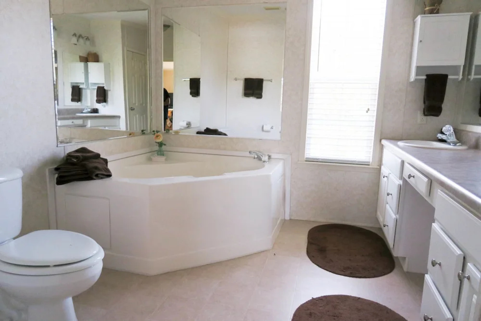 Wild Spirit Wolf Sanctuary