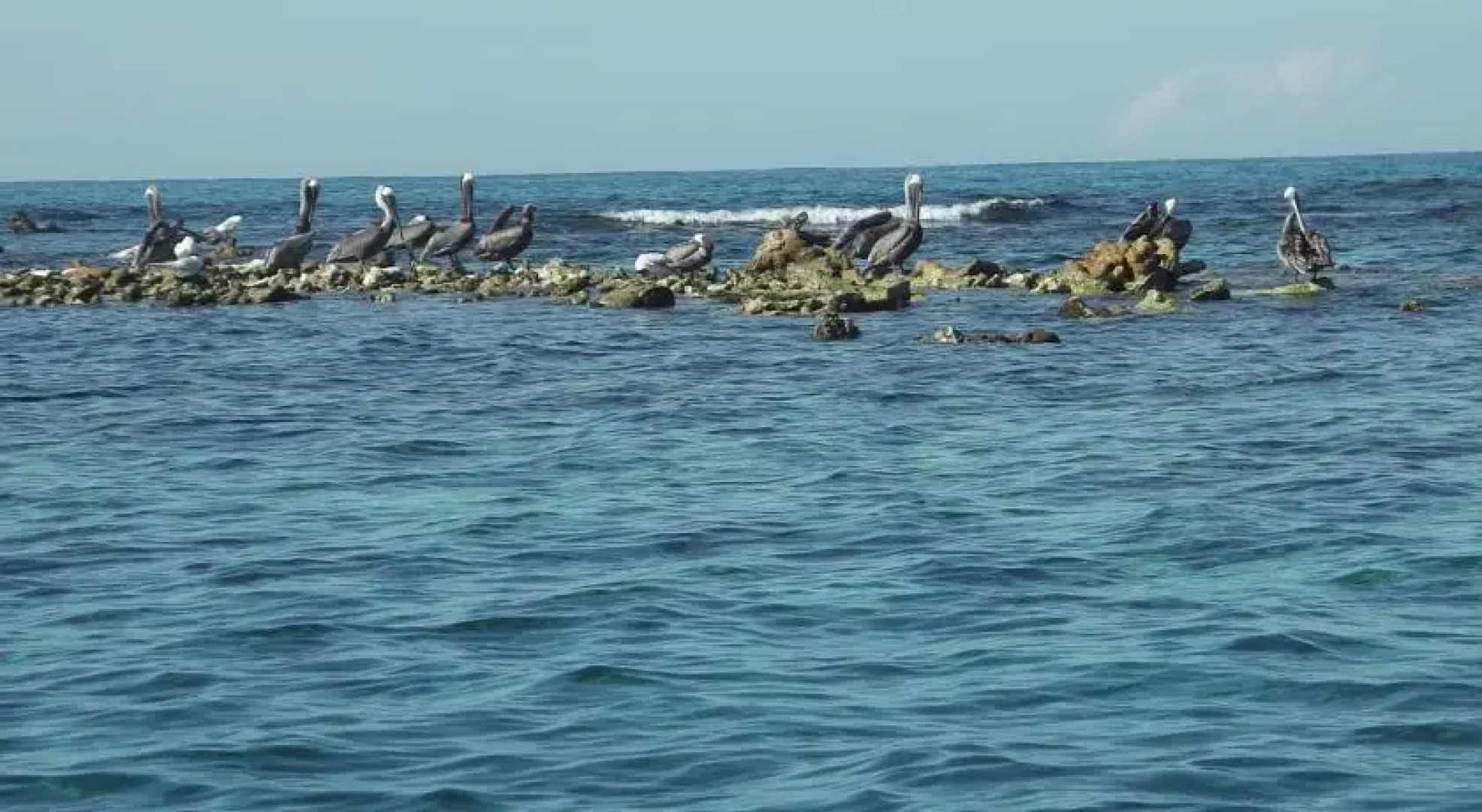 Rainbowvillas Belmont Jamaica