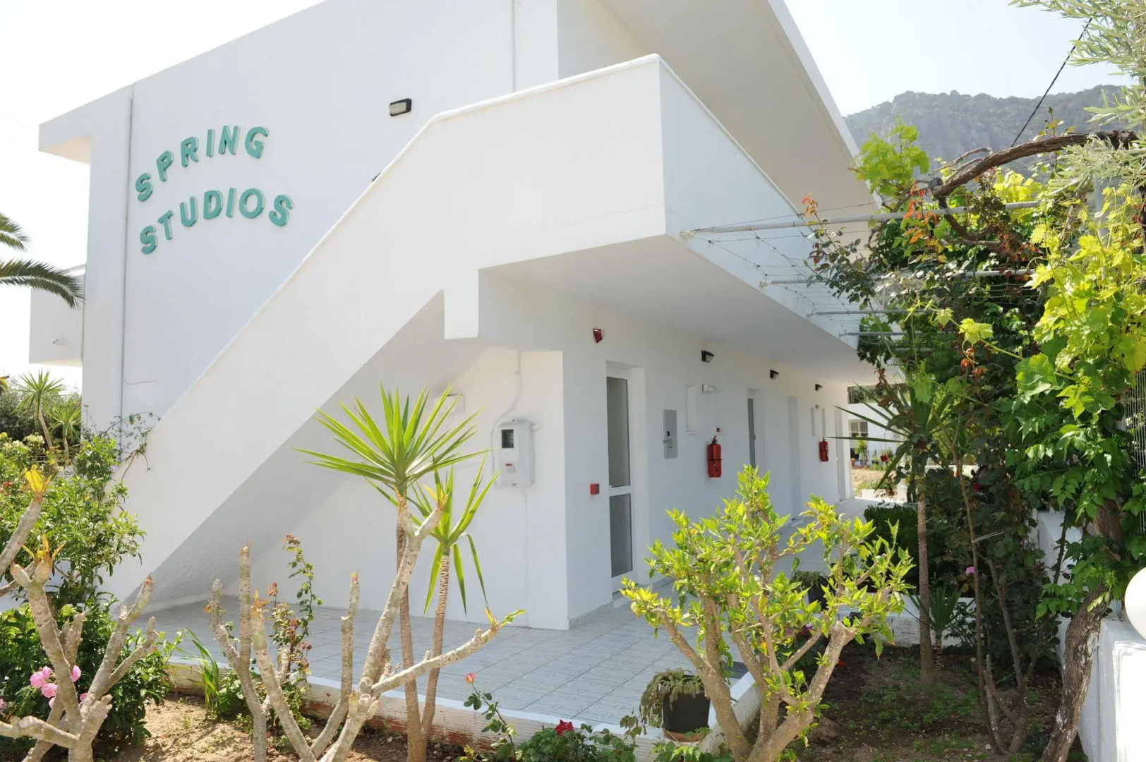 Spring Studios