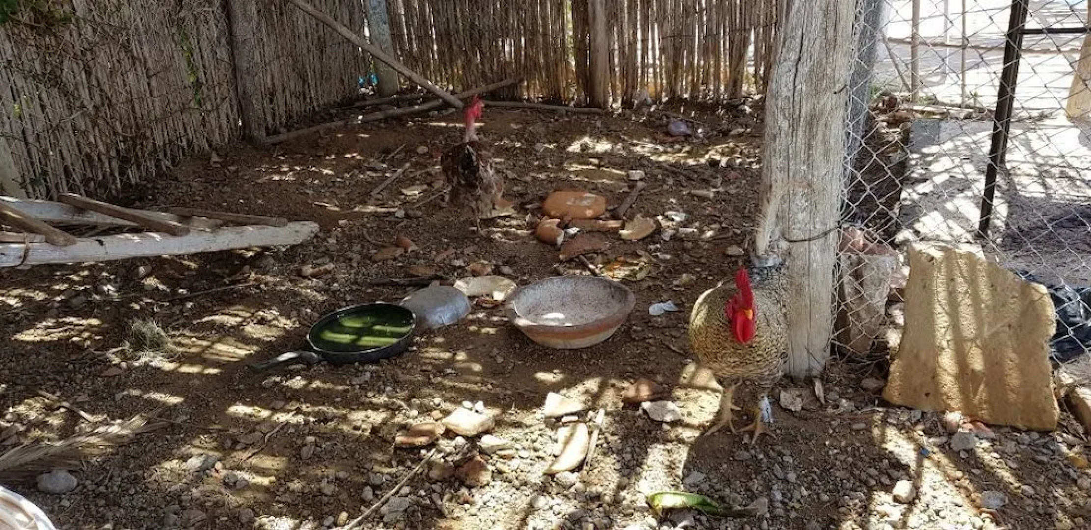 Yasmine Maamoura Beach