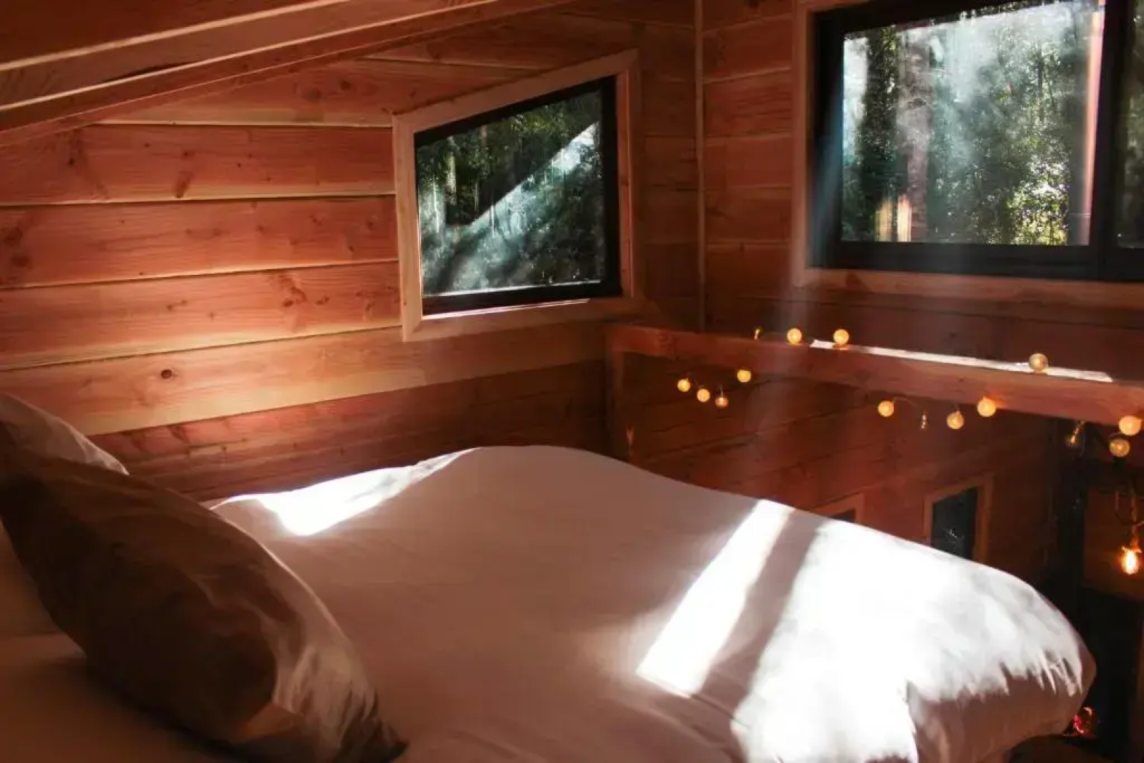Cabanas Bosque Milenario