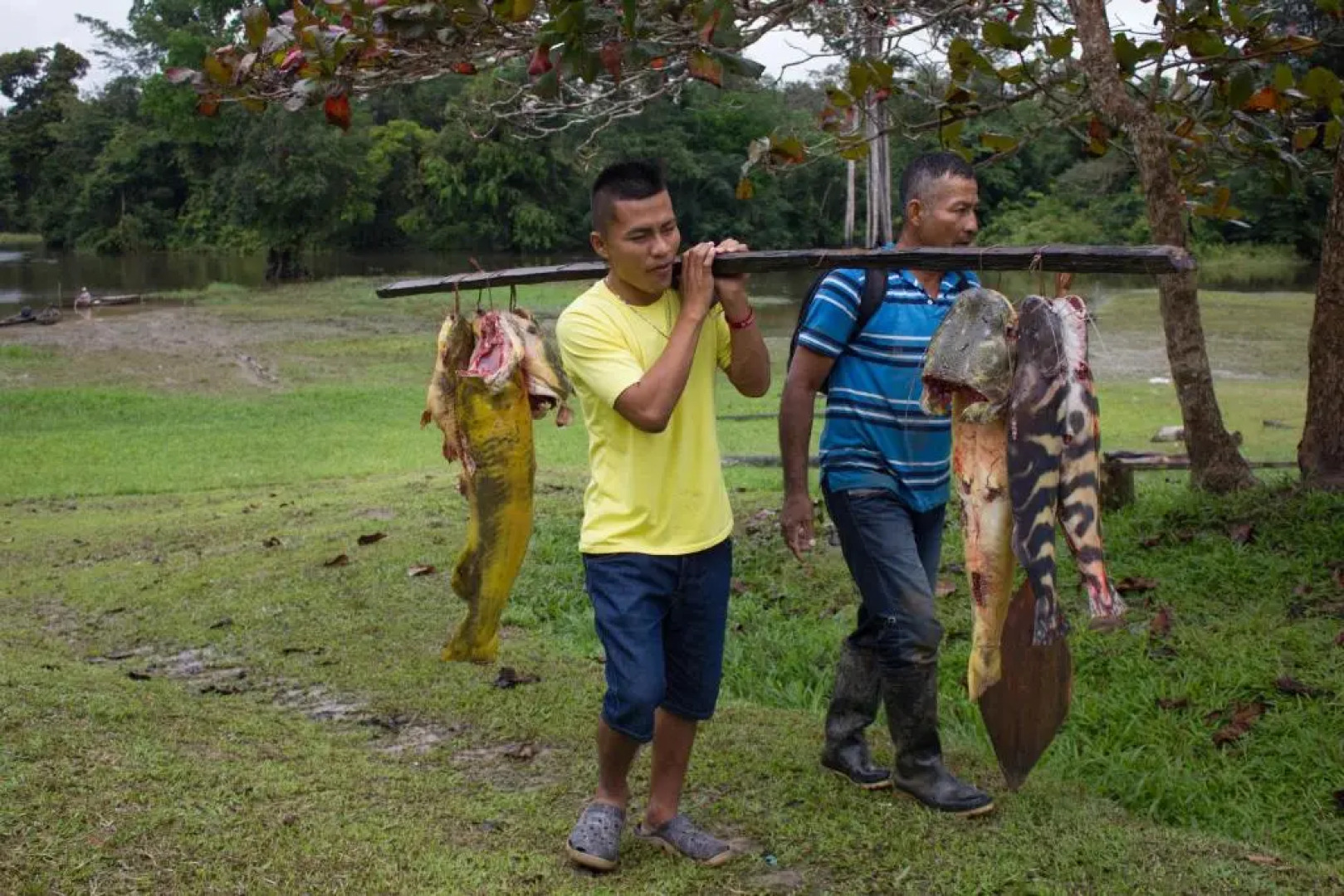 Reserva Natural Tucuchira