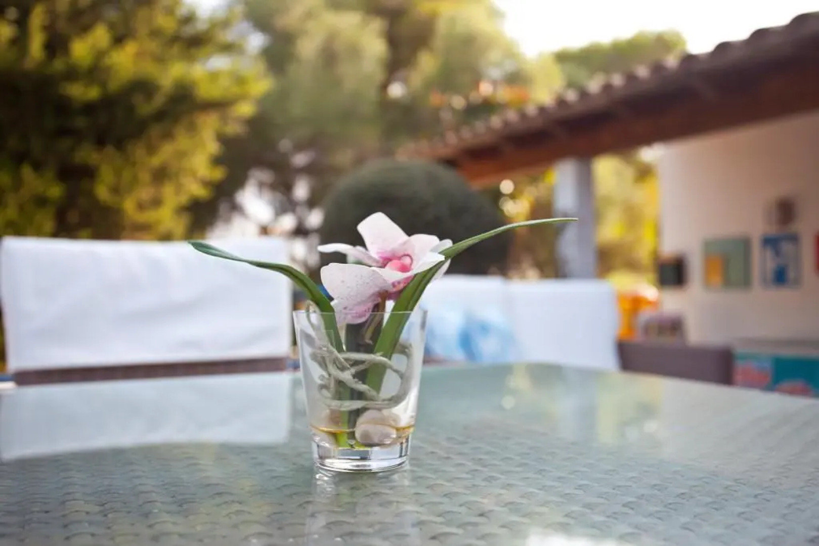 BJ Apartamentos Europa