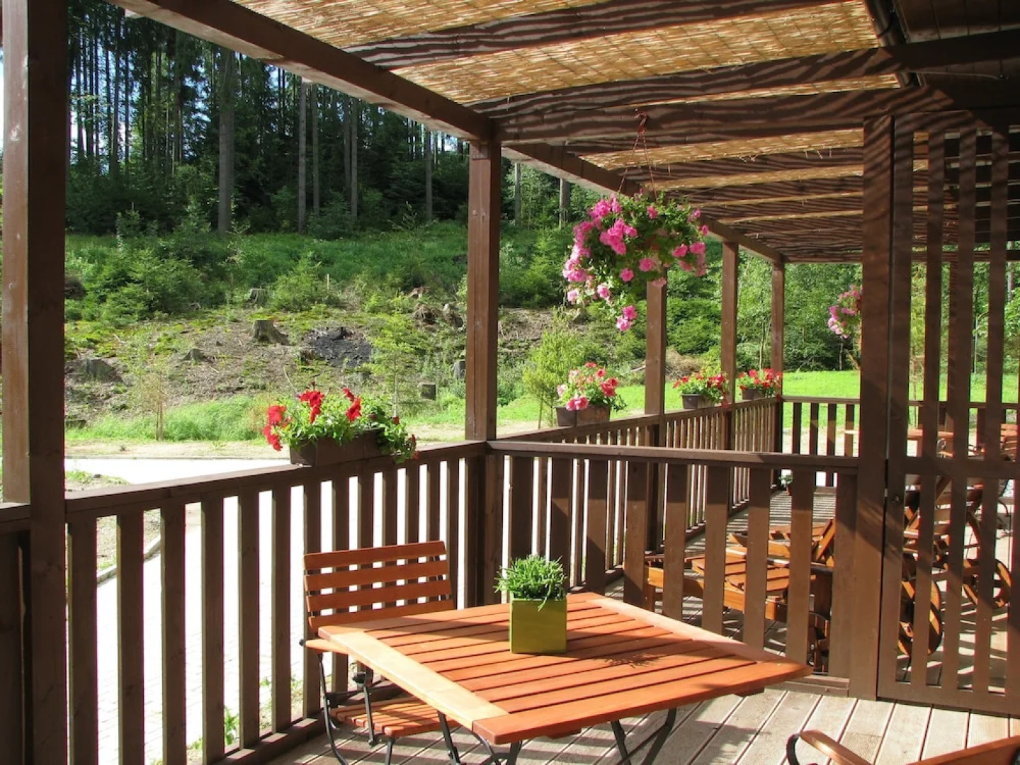 Lesní Lázne Zvánovice