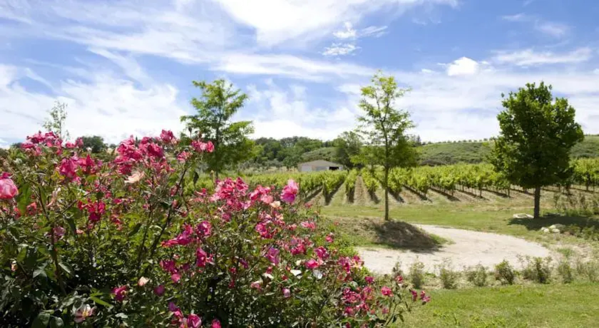 Terre di Varano