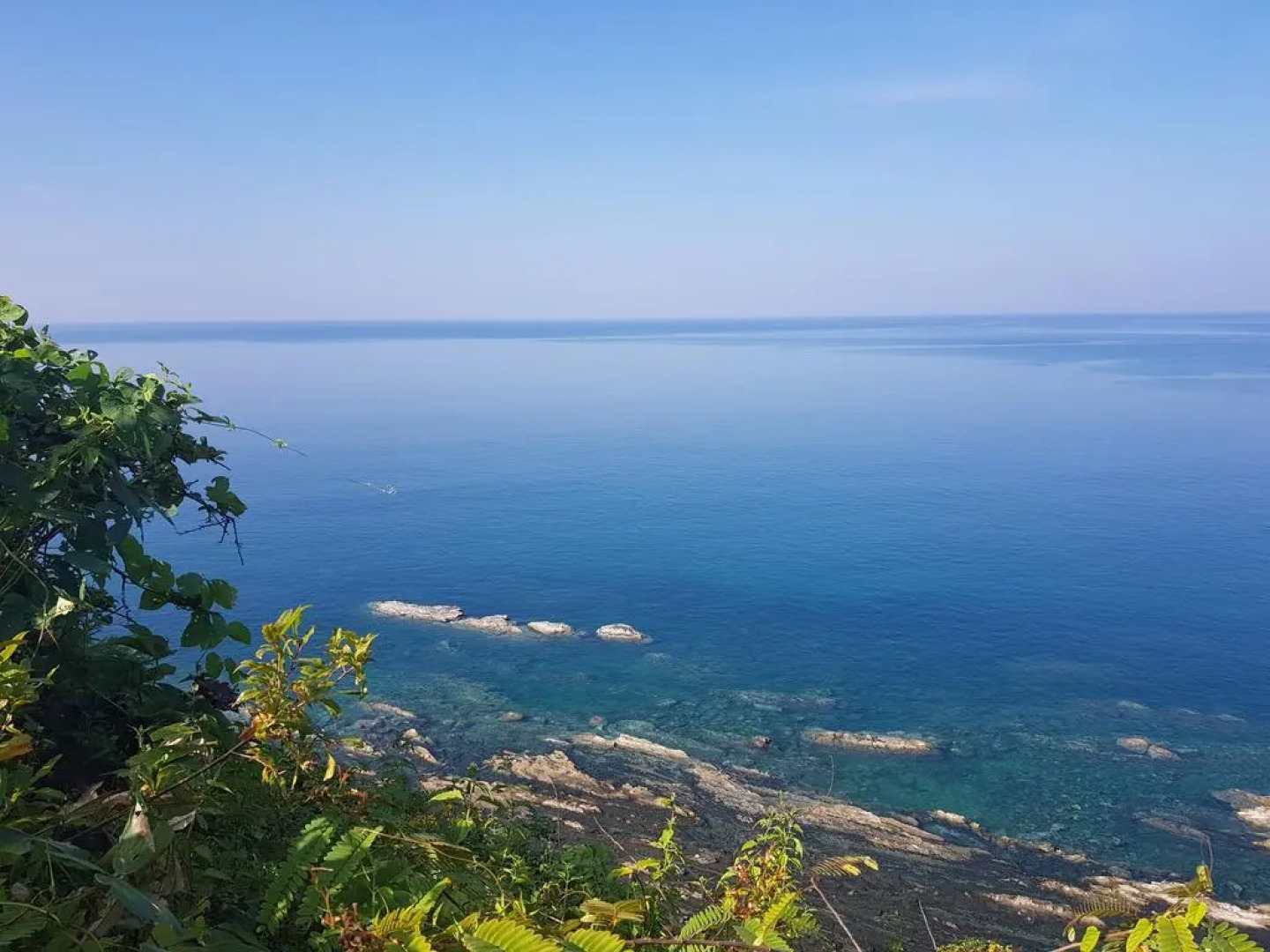 Coconut Island Resort