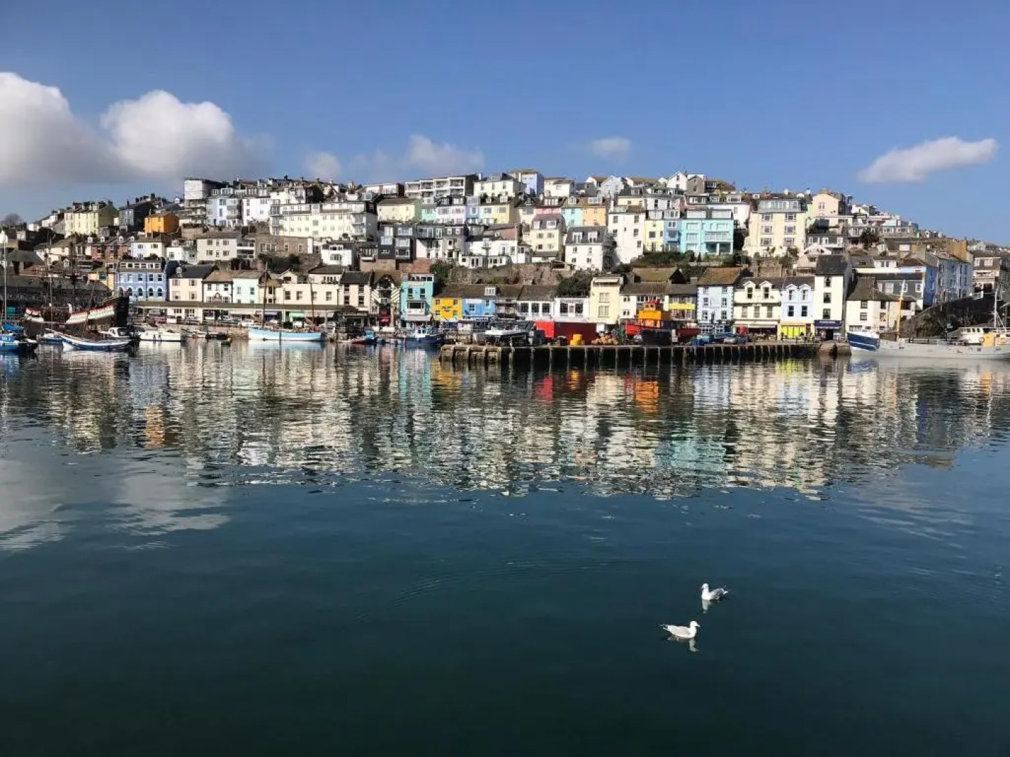 Saltys Cottage, Brixham - 2 min walk to the harbour