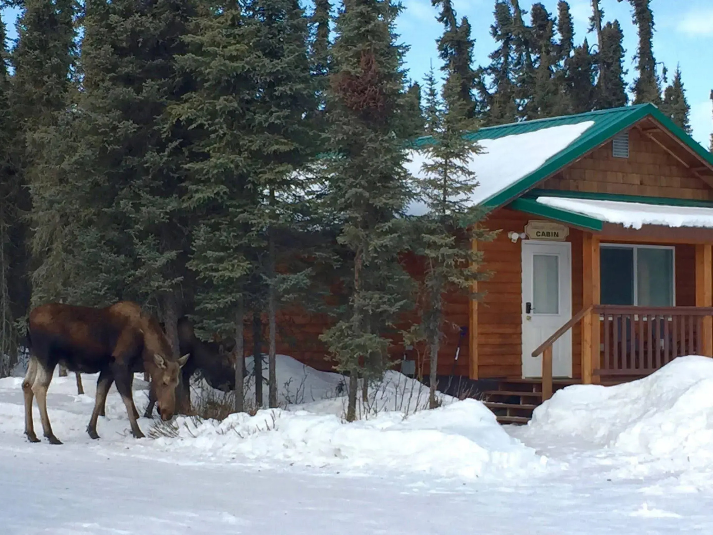 Salmon Catcher Lodge