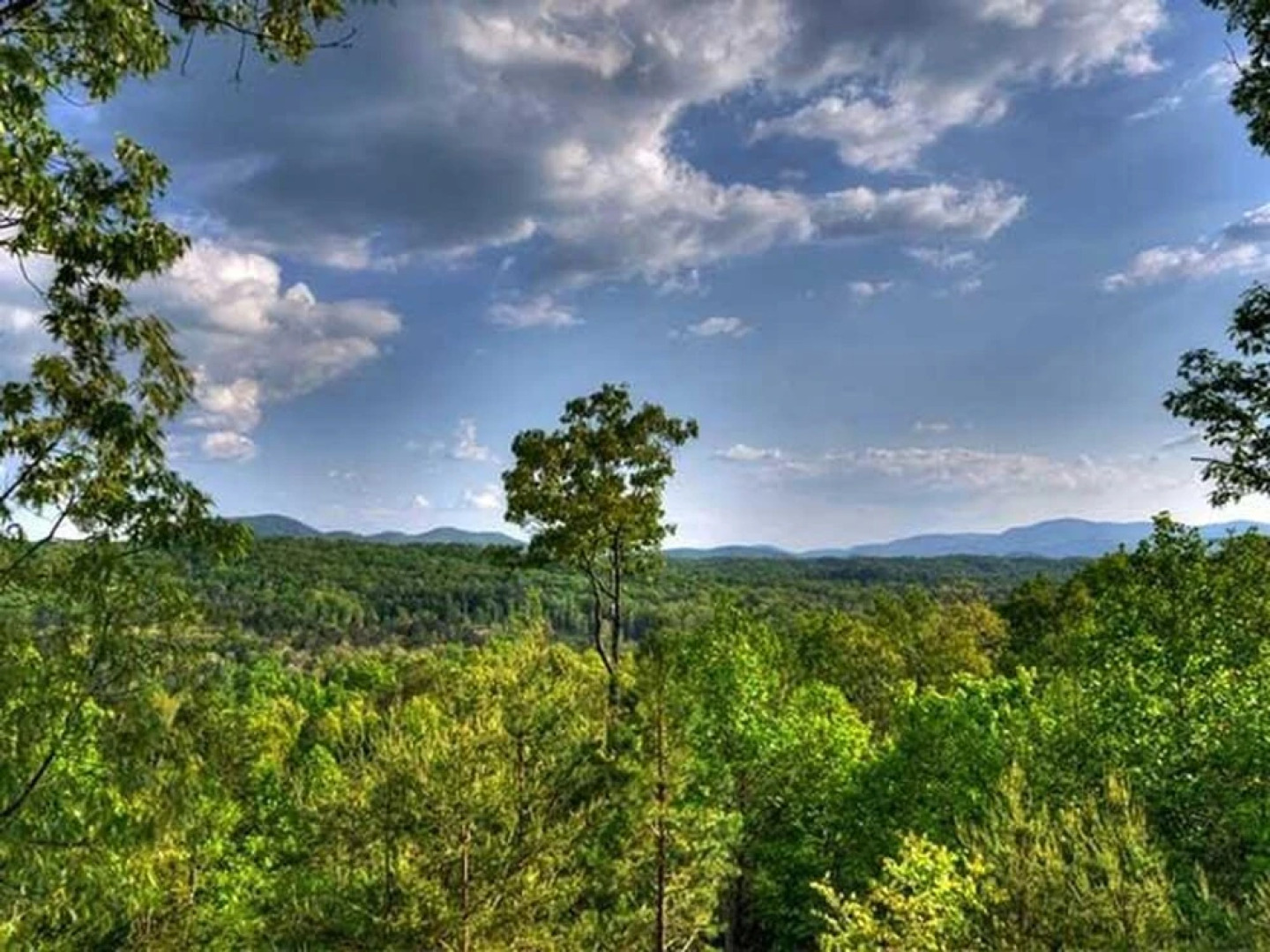 Above Expectations by Escape to Blue Ridge