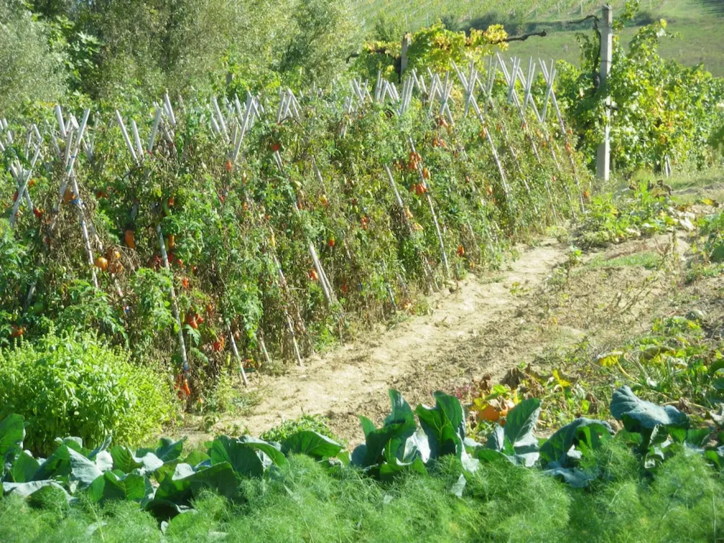 CASA DOLCI MARCHE - La Filanda