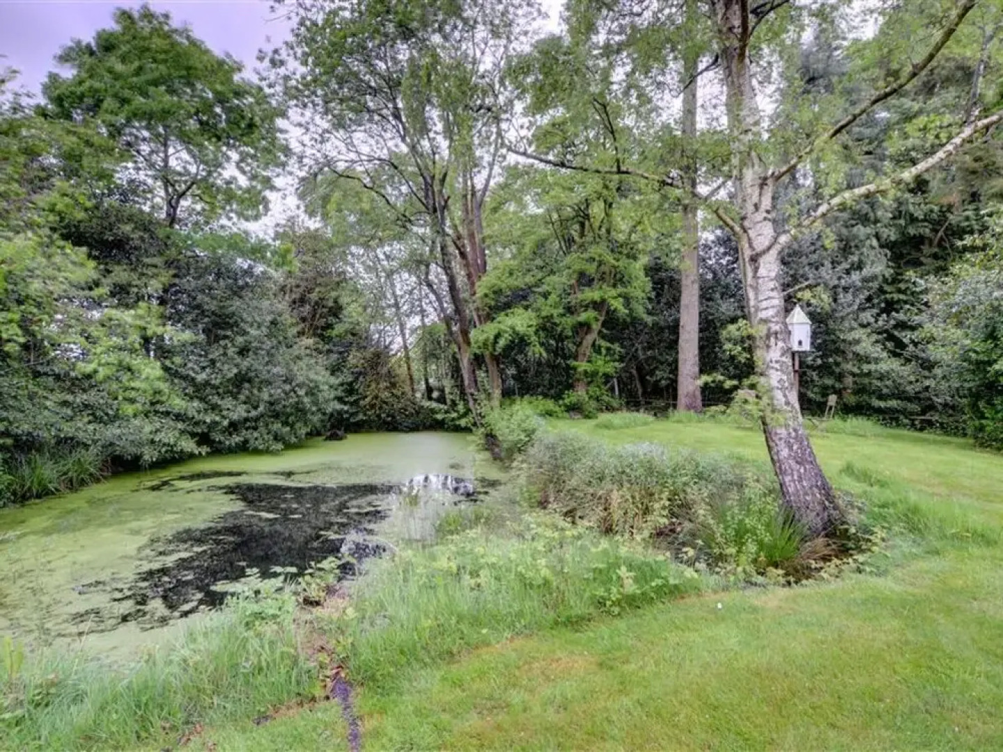 Unwind and Relax in This Romantic, Refurbished First Floor Studio Apartment