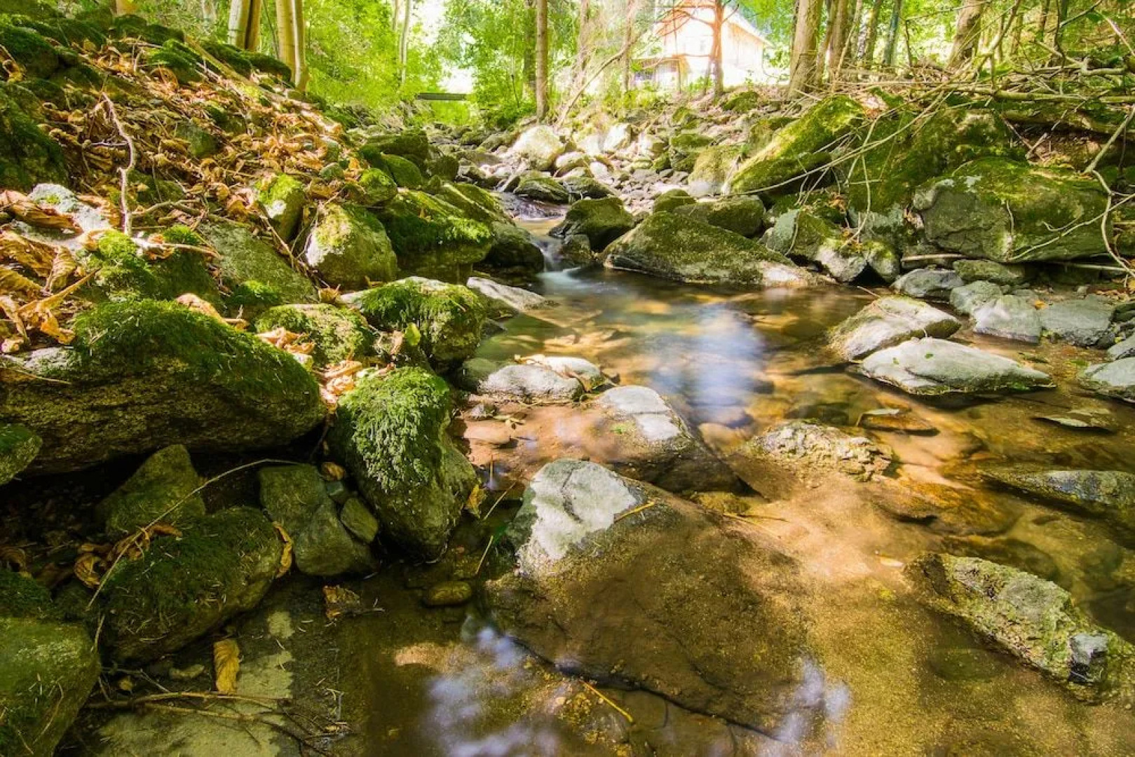 Linz Apartment Comfort-Size