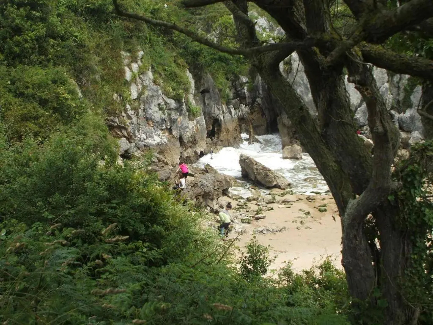 Apartamentos Playa La Franca