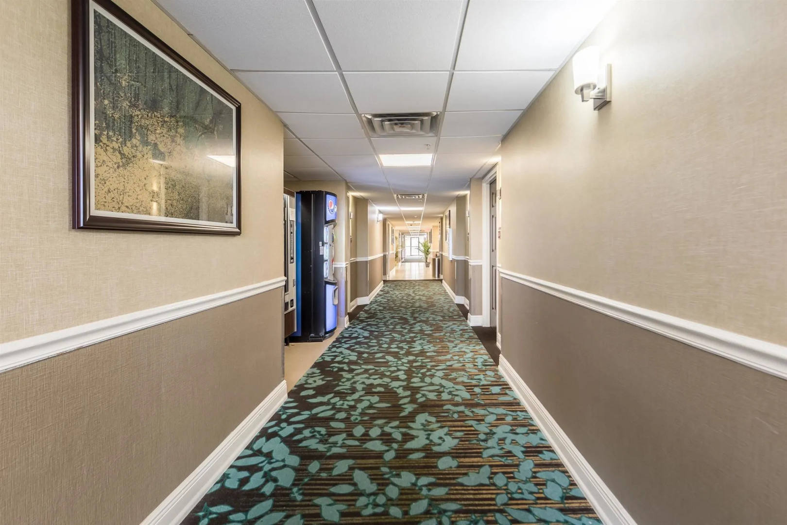 Best Western Plus Sebastian Hotel & Suites