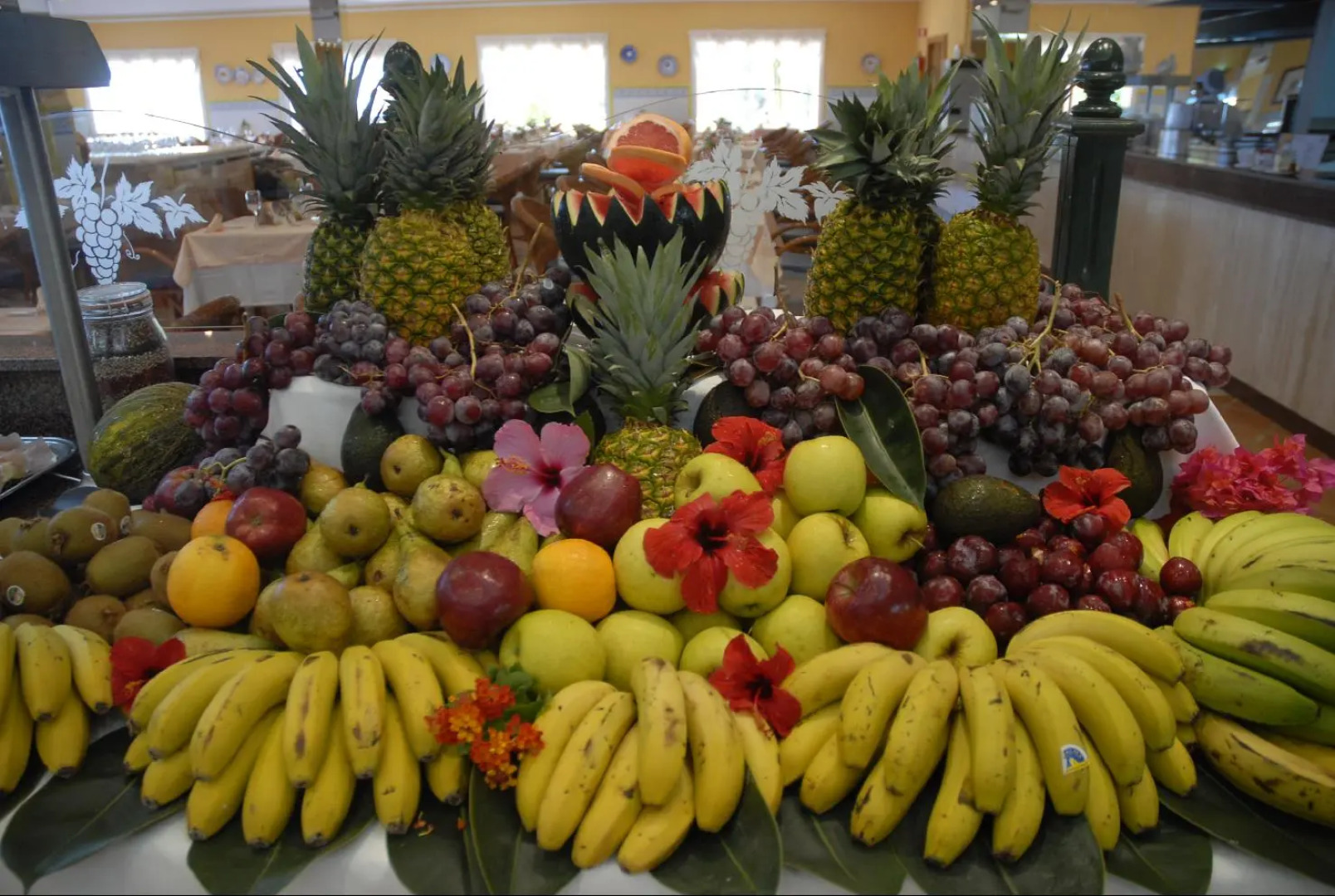 Playavera Hotel - Naturist Friendly