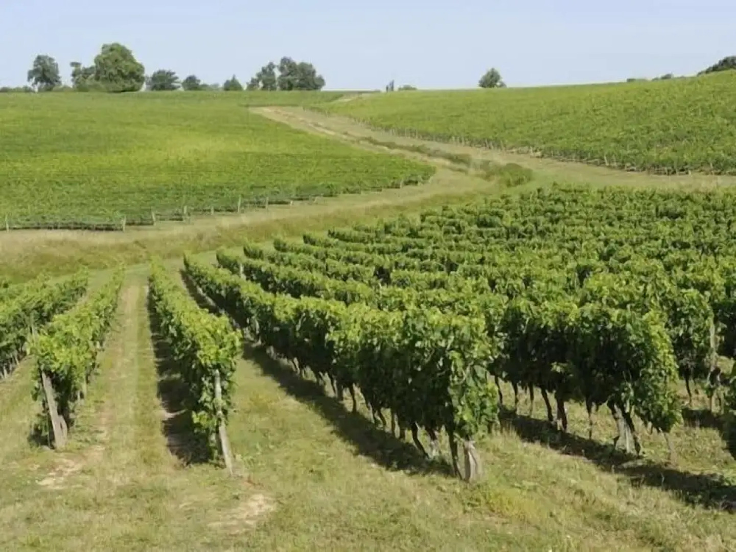 La France Chambres Dhôtes