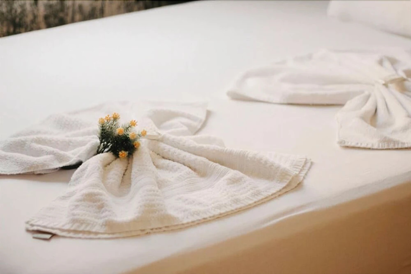 Pousada Quatro Estrelas