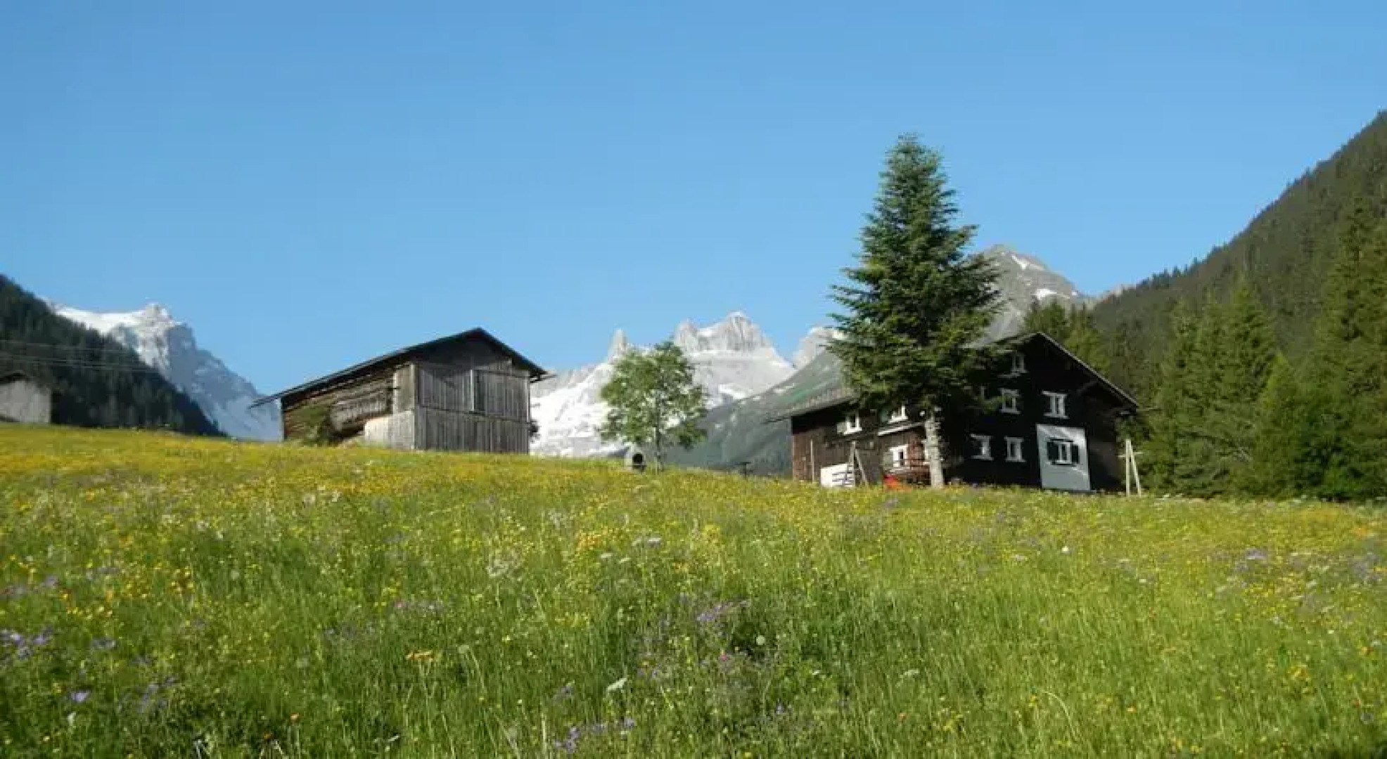 Ferienhaus Vollspora