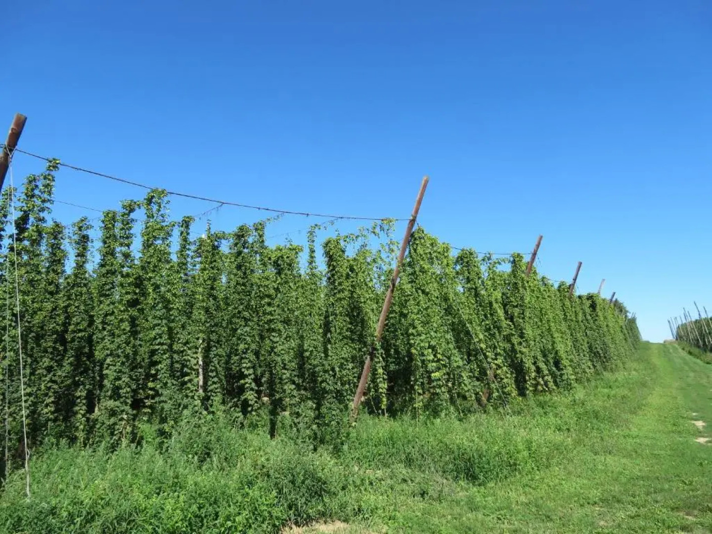 Holledau-Apartments Familie Gmeineder