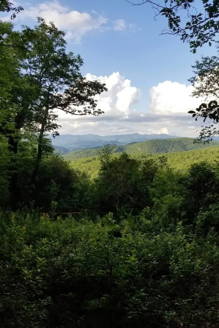 Serene Mountain Retreat! Rural Glenville Craftsman