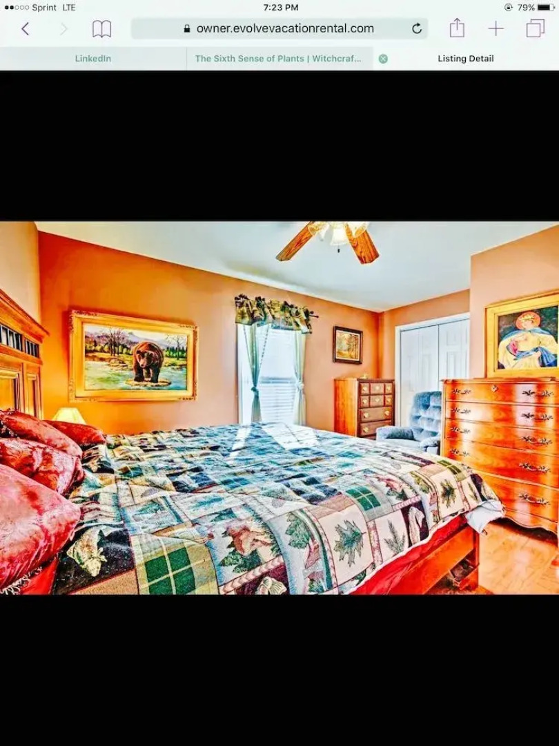 Mountain of Dreams At Lavista Cove