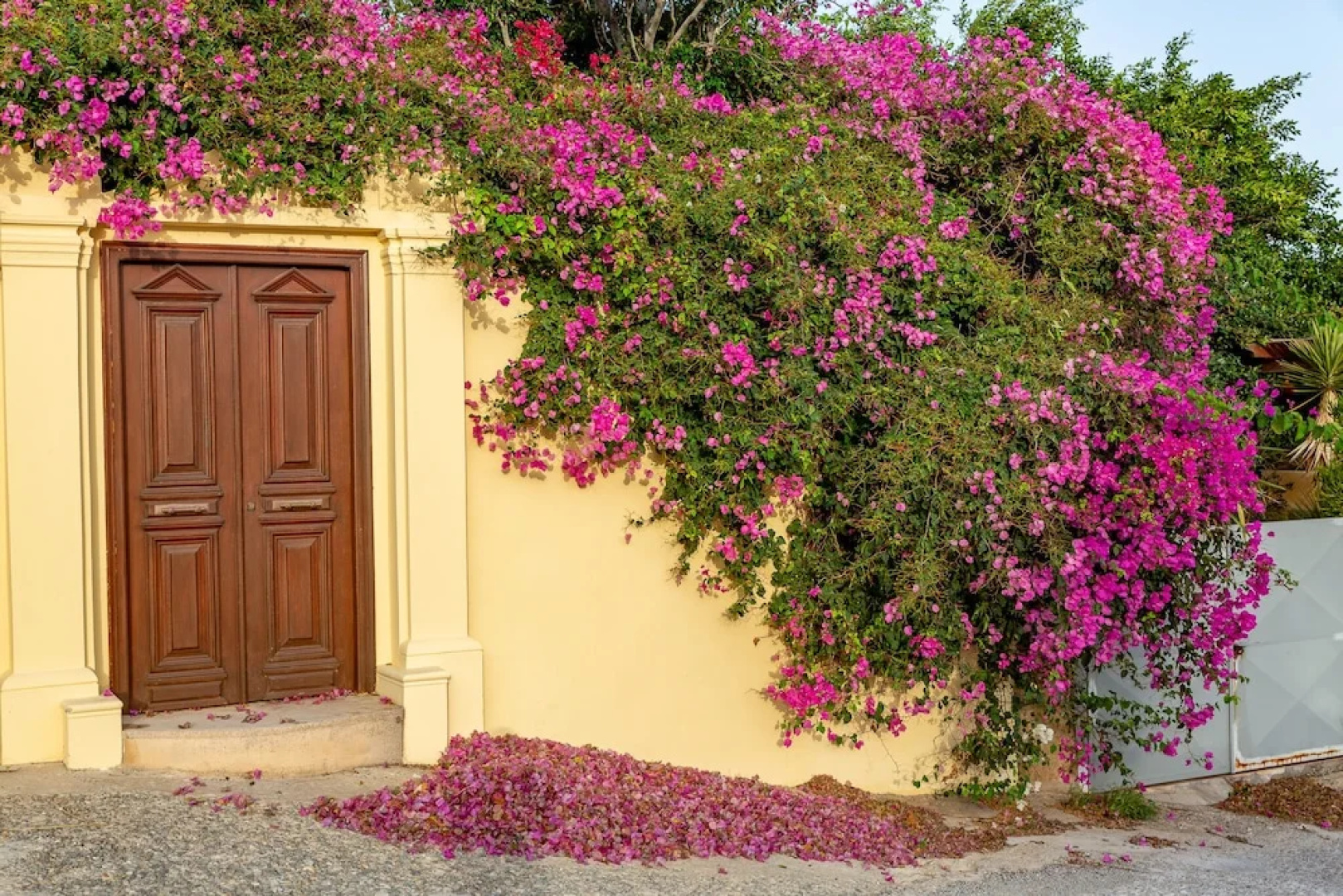 Theoxenia Suites