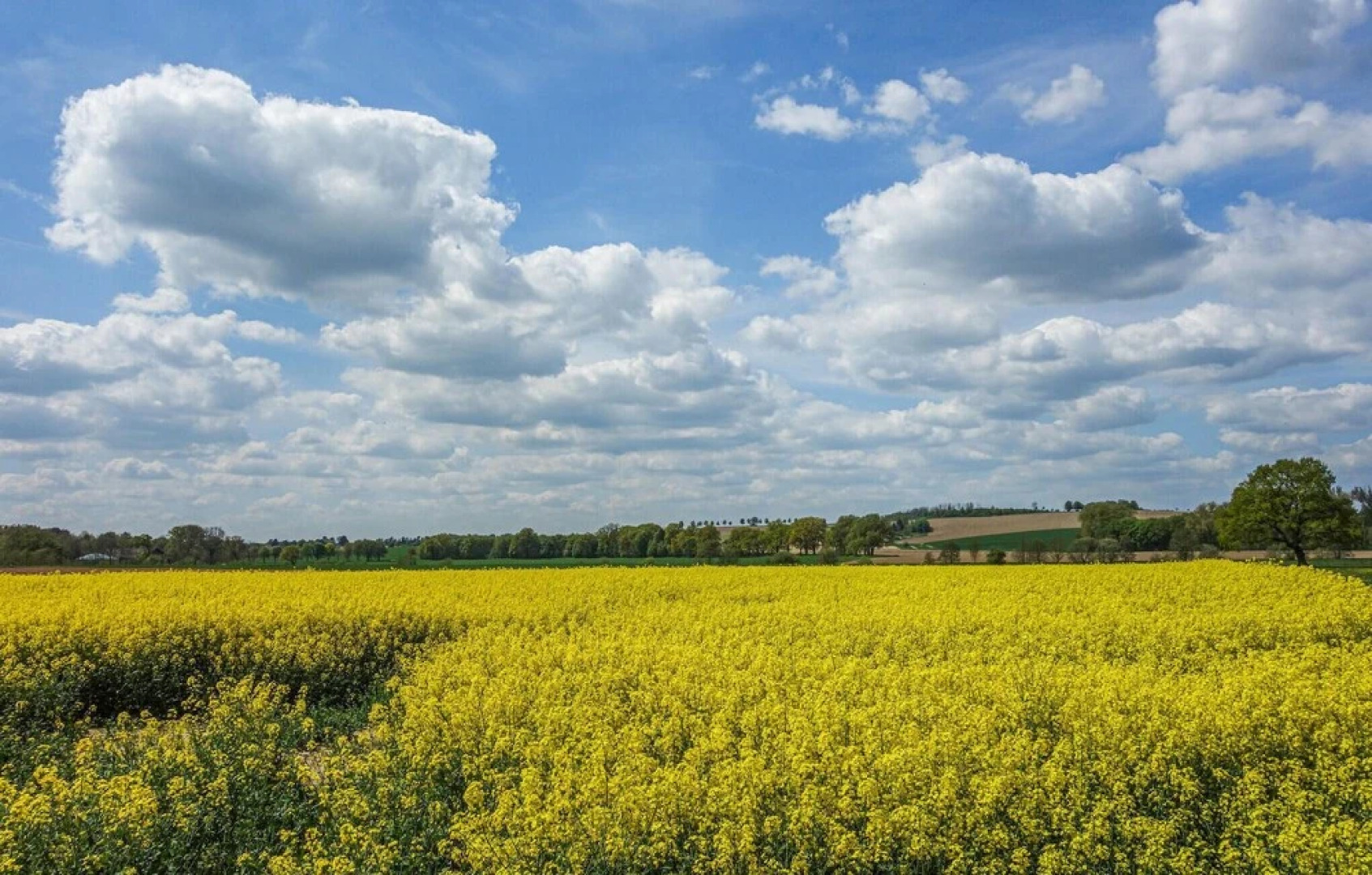 Nice Apartment in Marienmünster With Sauna, Wifi and 2 Bedrooms