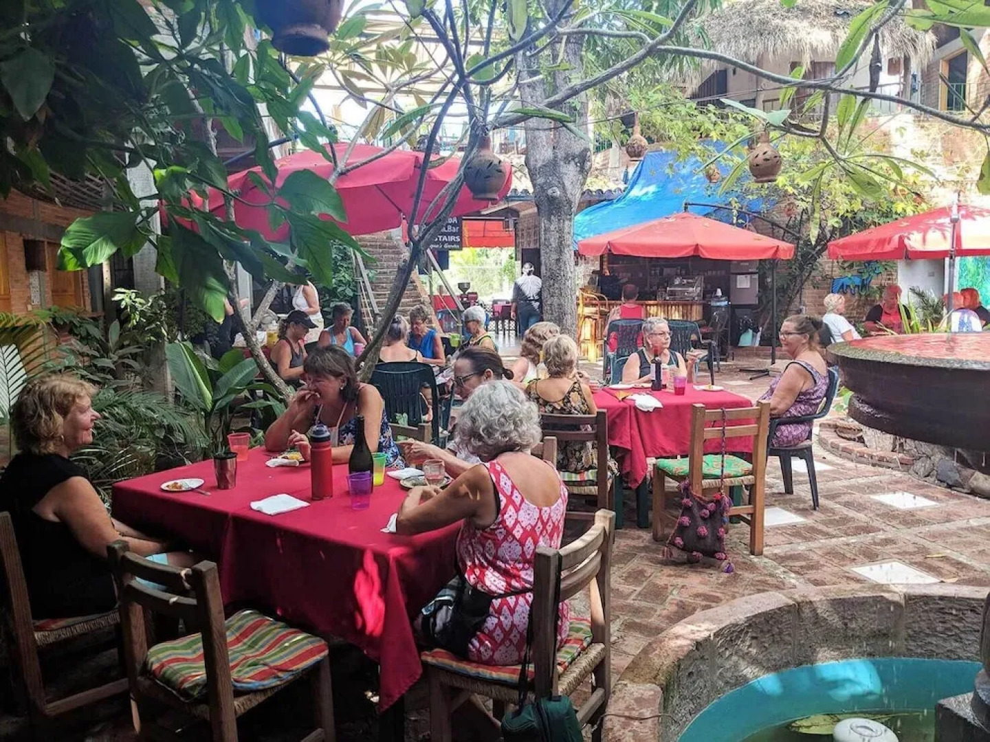 The Octopus's Garden