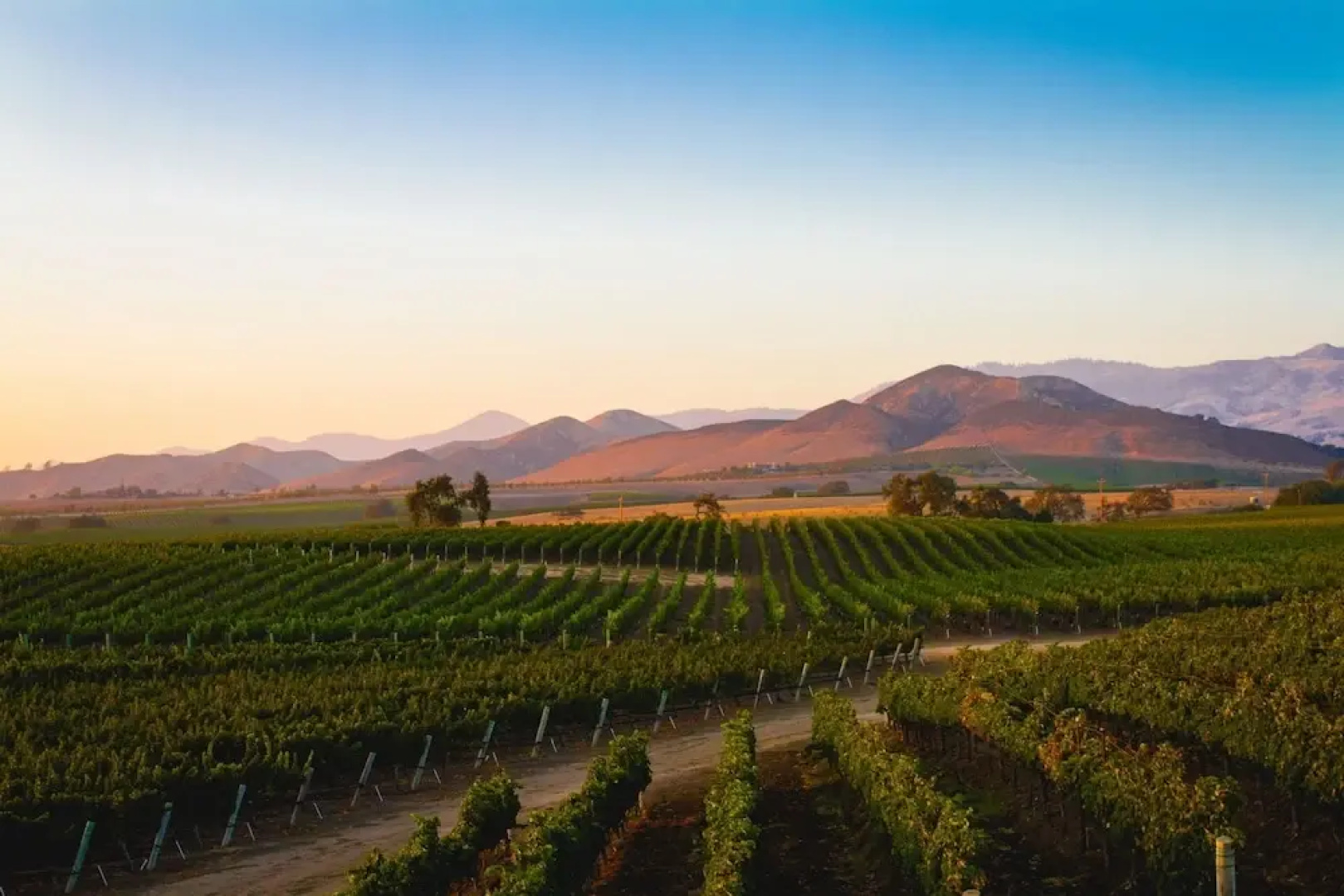 Appellation Healdsburg