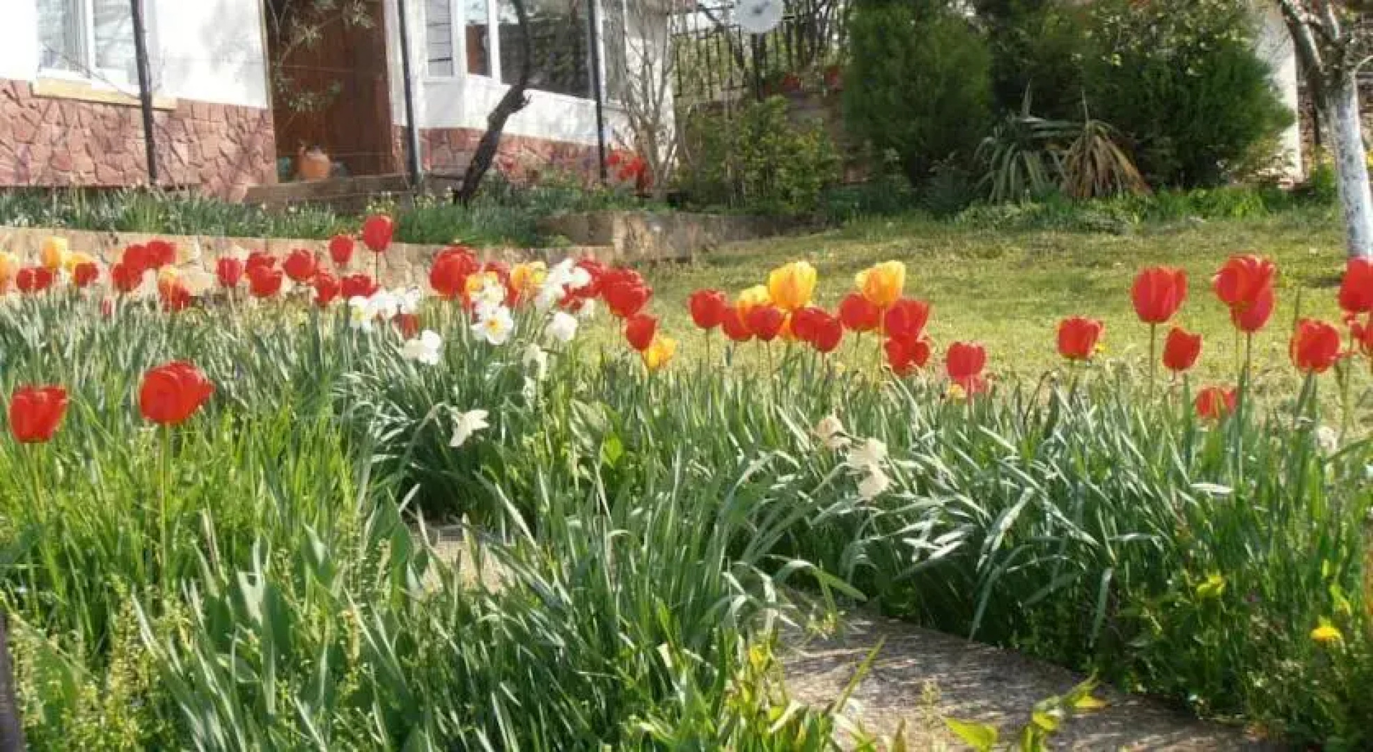 Venikula Guest House