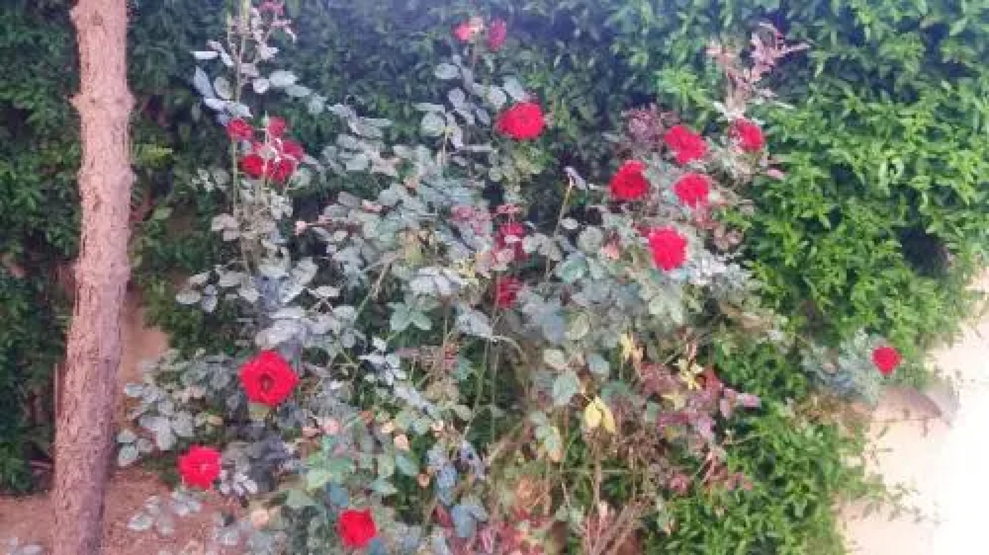 Holiday home Route Raoued Plage-Gammarth