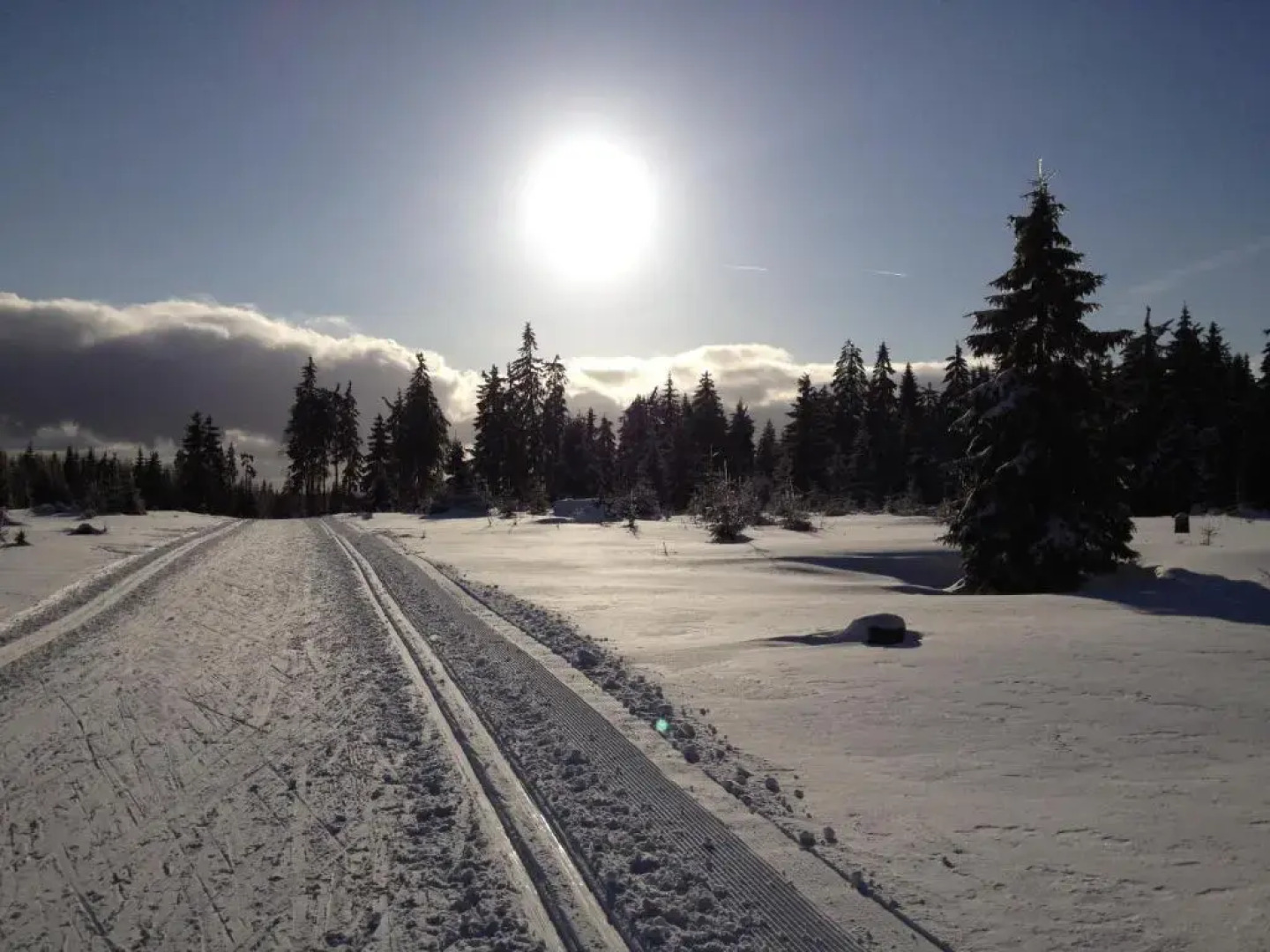 Hotel Zum Kranichsee