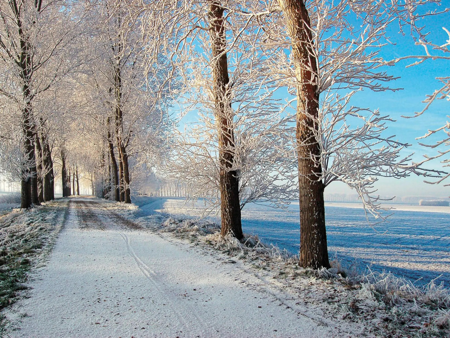 Child Friendly, Restyled Apartment near Grevelingen Lake