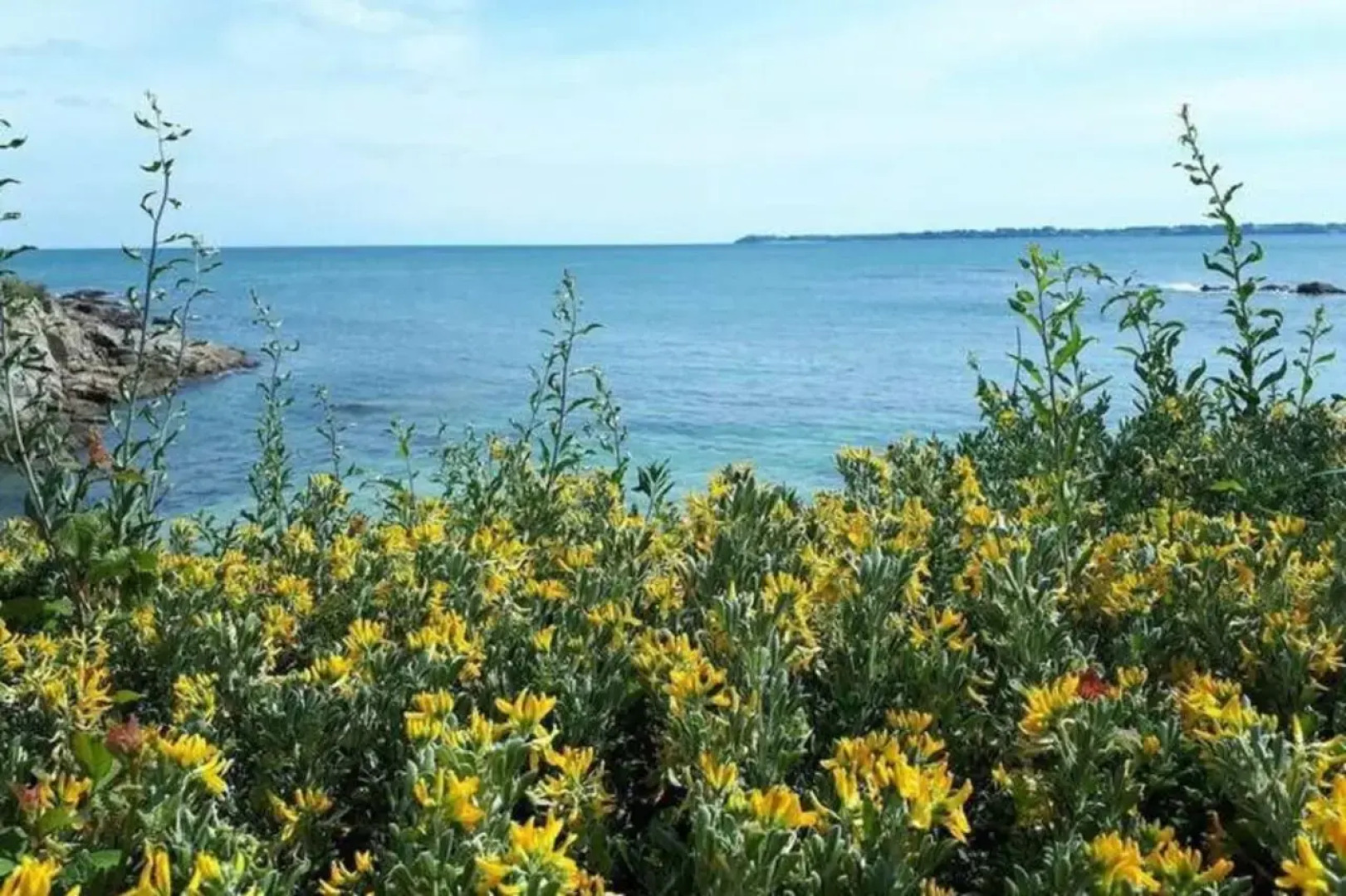 LUXURY ! T3 – Vue océan imprenable 180°