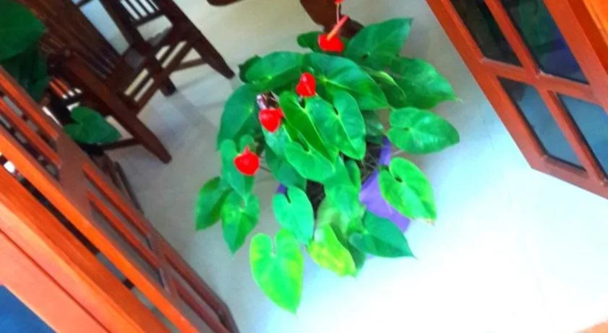 Fresh Air Villa Guest House