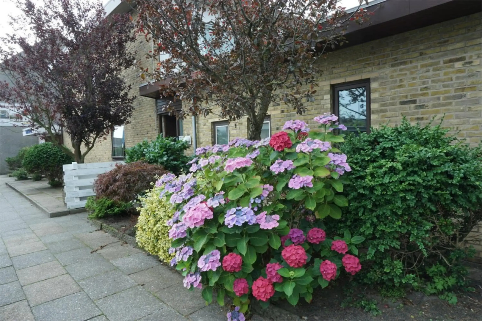 Bb Hotel Frederikshavn