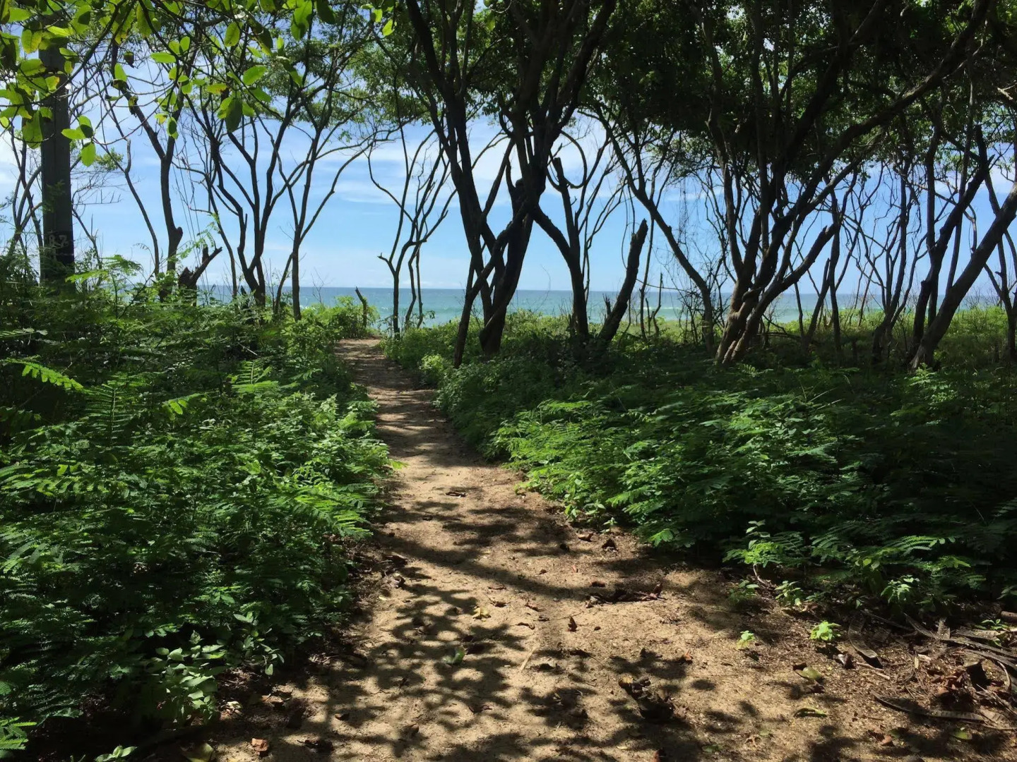 Pipe House Playa Grande