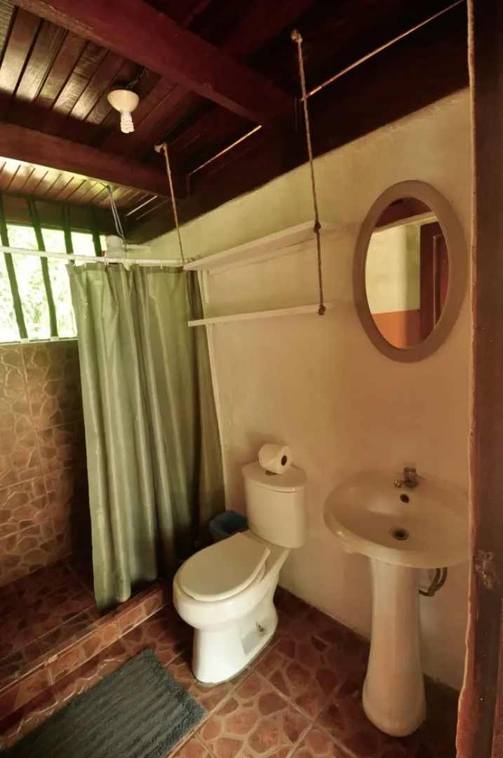 The Howler Monkey Hotel