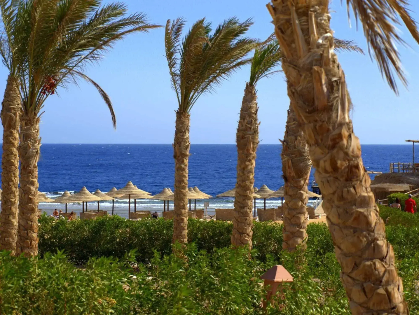 Viva Blue Resort and Diving Sharm El Naga