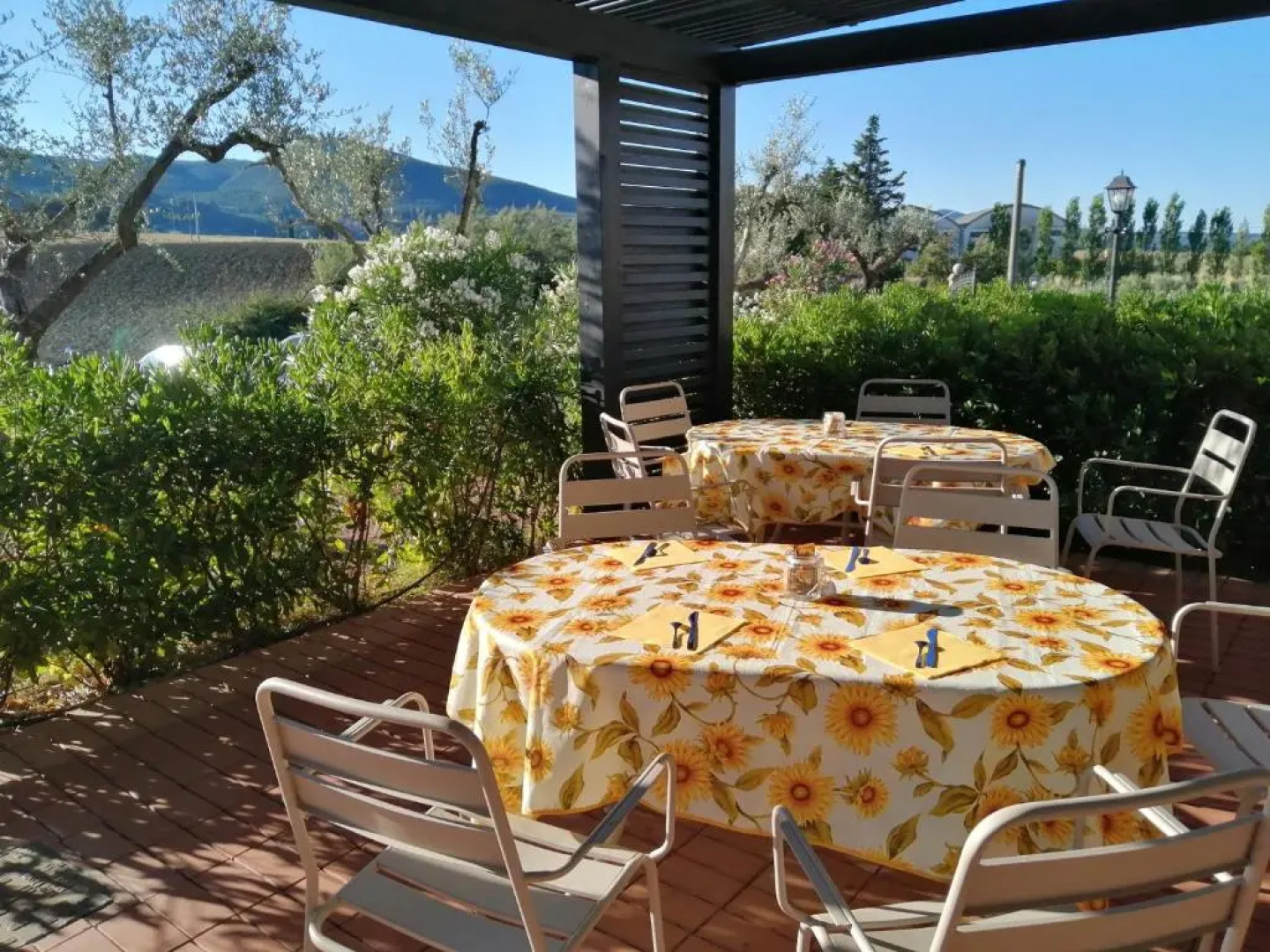 Il Poggio Della Pieve Apartments