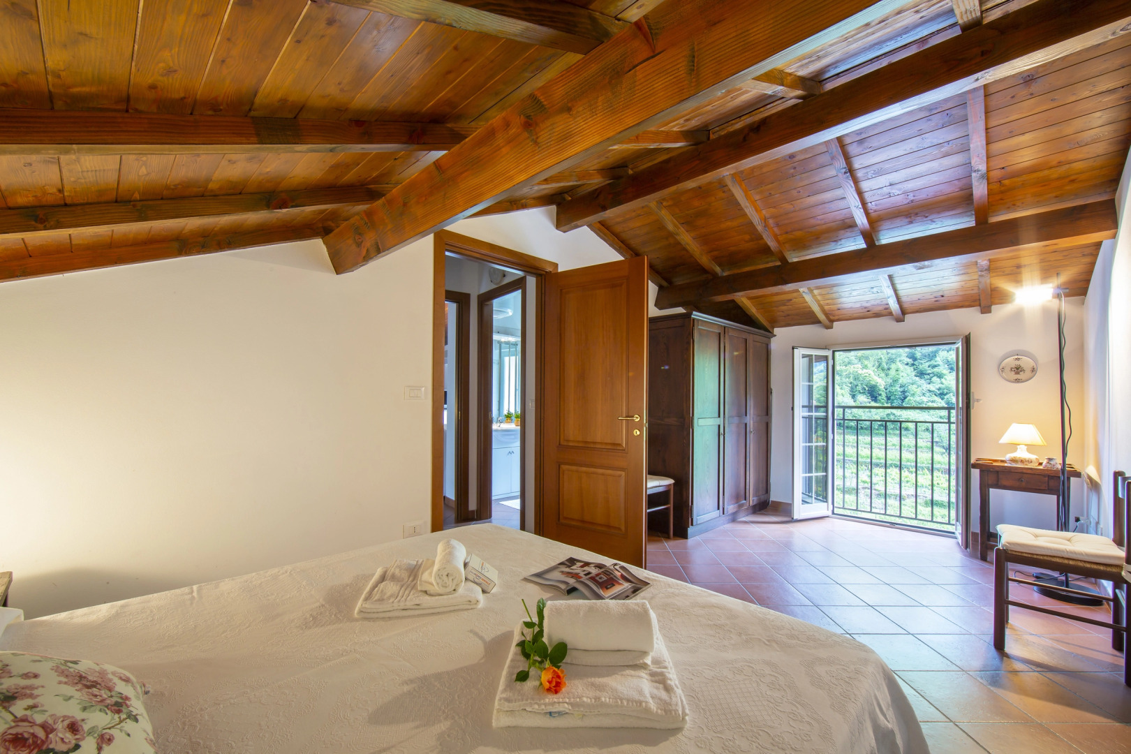 Gelsomino among vineyard