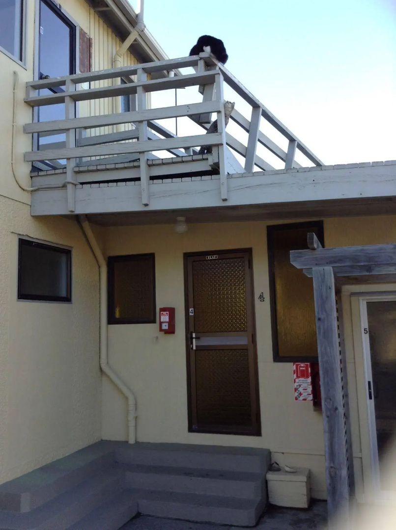 Seaview Motel