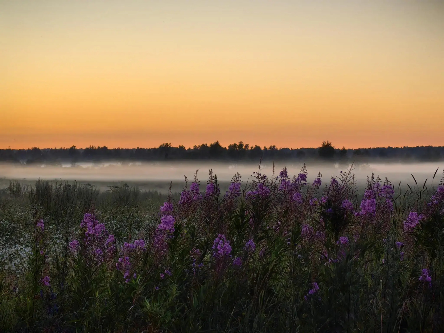 Дом Дракона в Яви-Нави