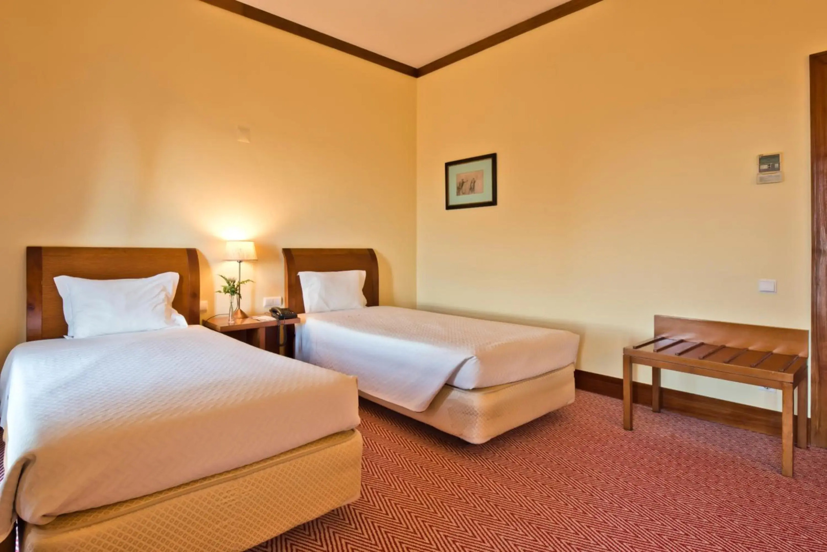 Golden Tulip Caramulo