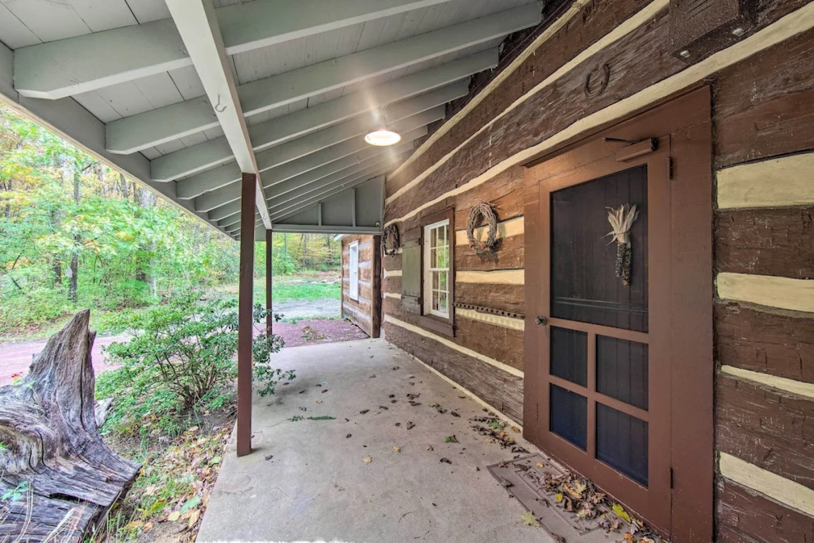 Remote 1901 Studio Cabin w/ Loft - Pets Allowed!